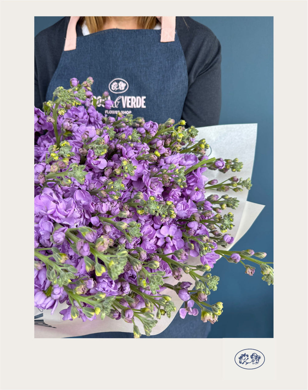 Bouquet Anna de matthiola premium de temporada