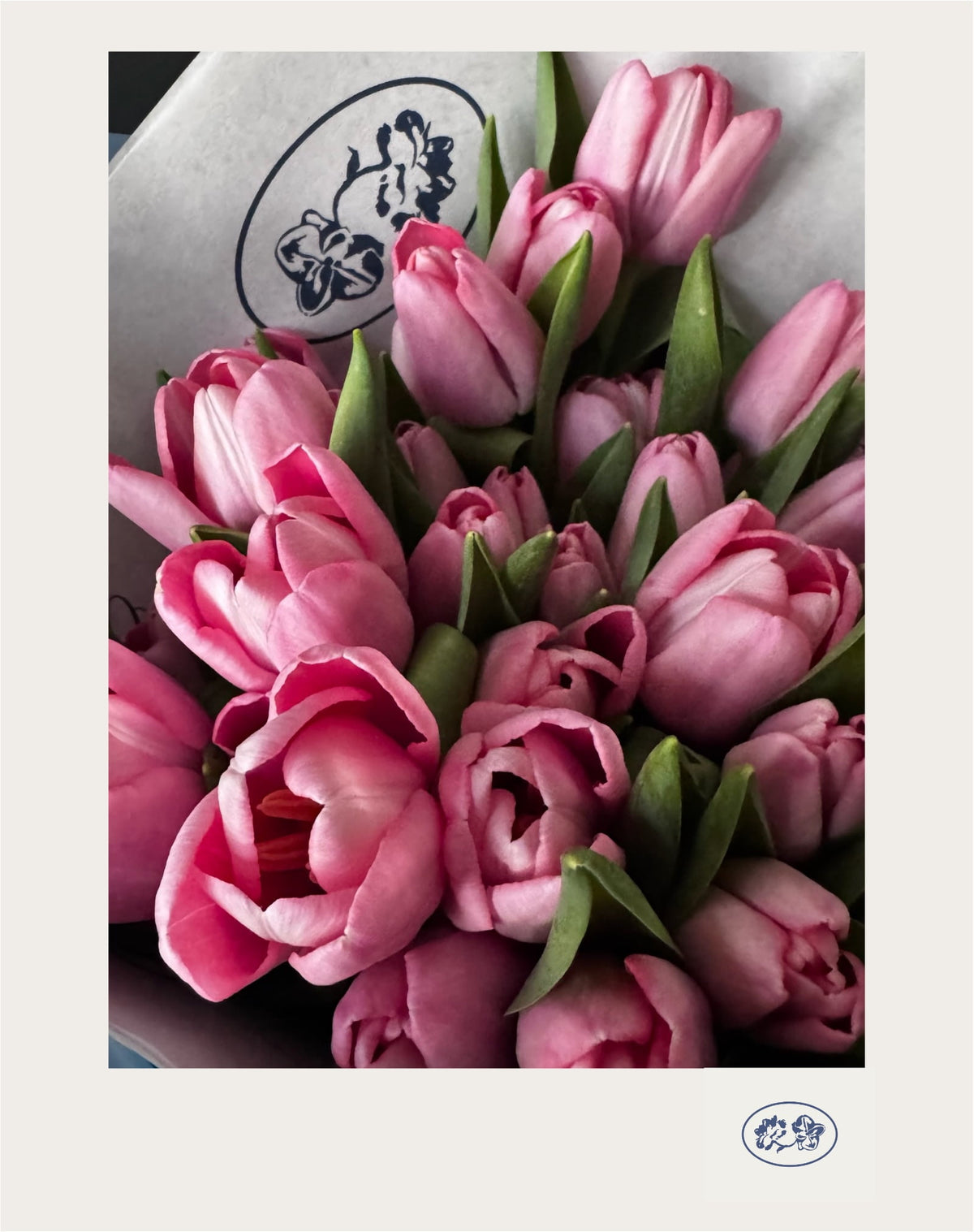 Bouquet Vera de tulipanes importados de temporada